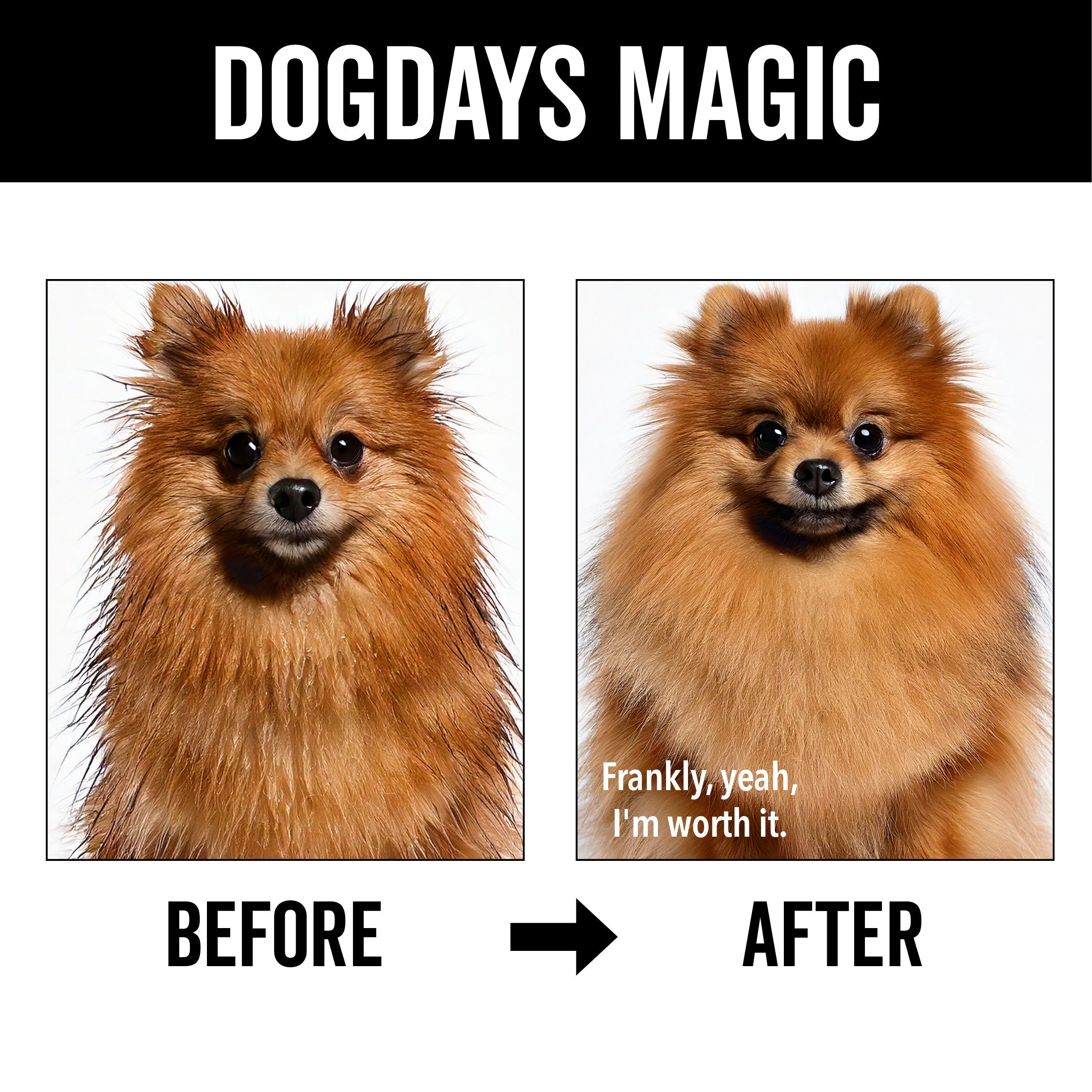 PRIDE + GROOM DOGDAYS Moisturizing Dog Conditioner