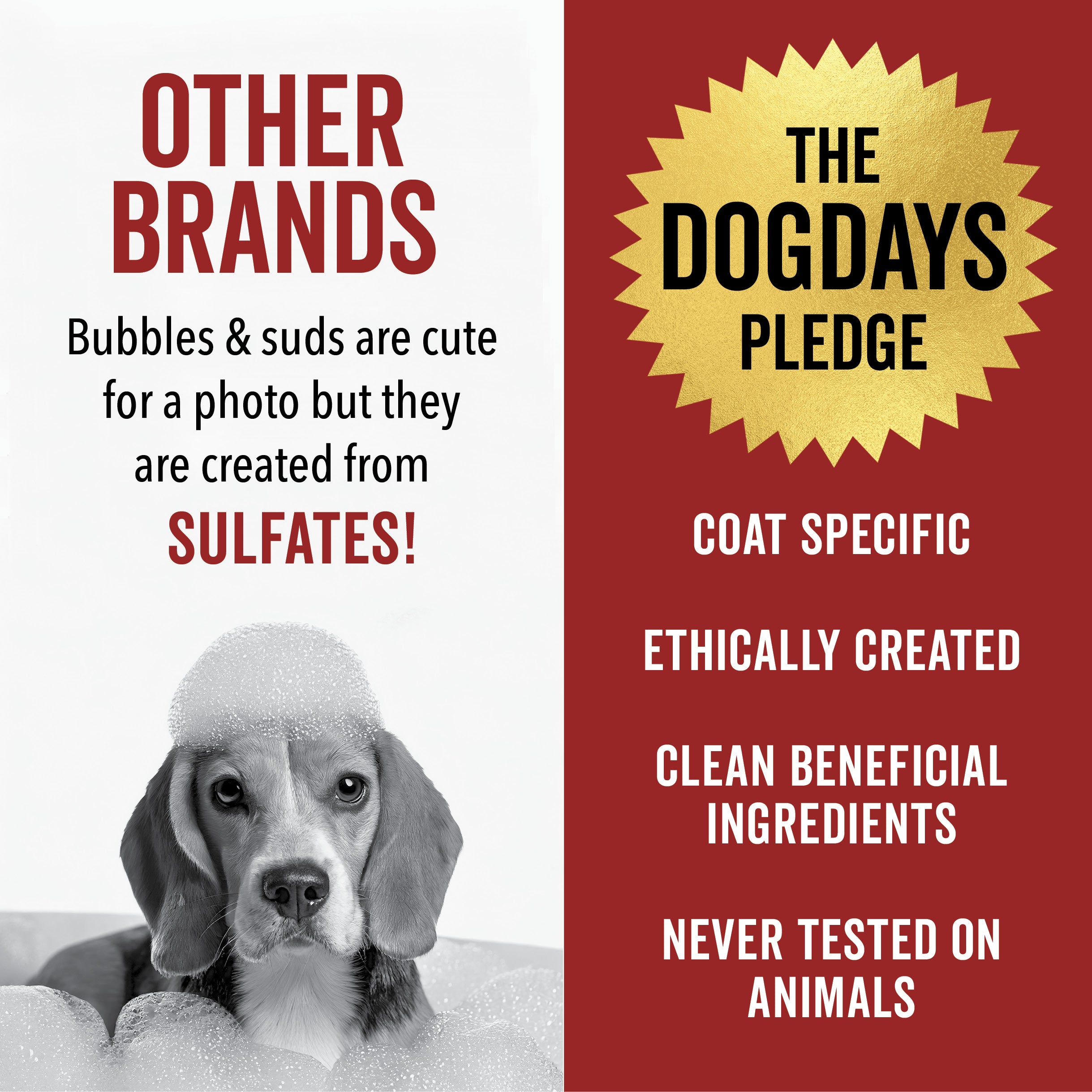 PRIDE + GROOM DOGDAYS Moisturizing Dog Conditioner