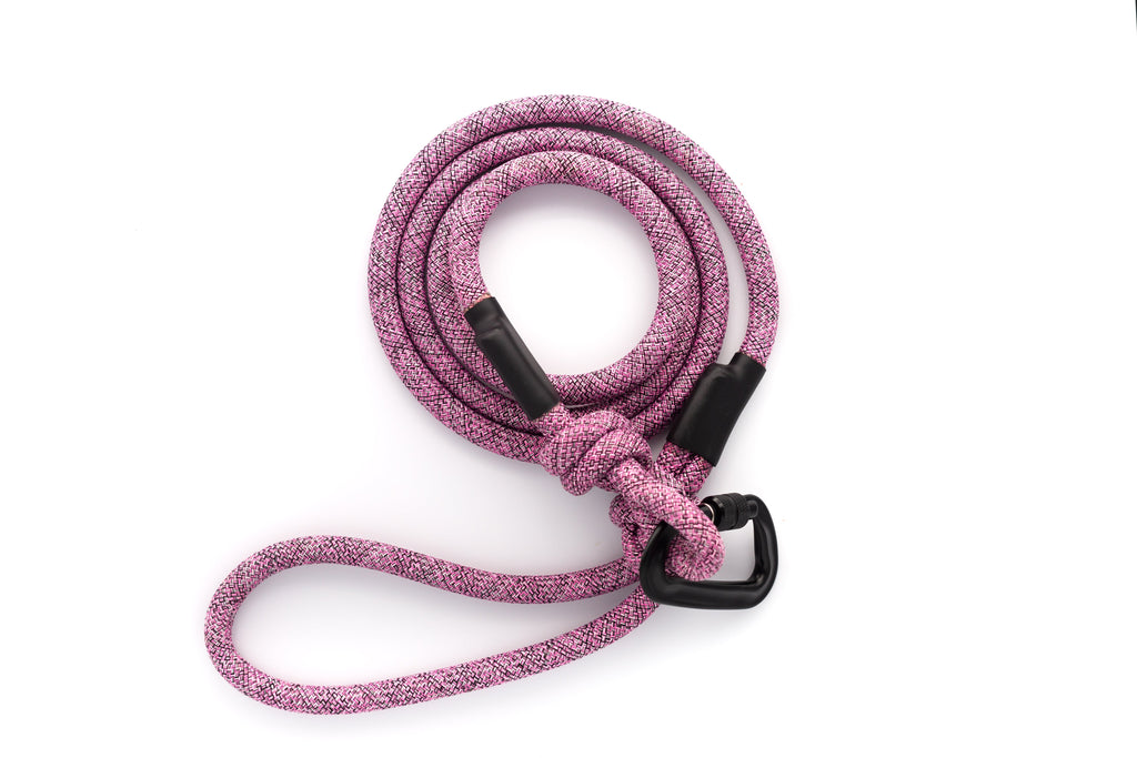 Euro-Dog Climbing Rope Dog Leash