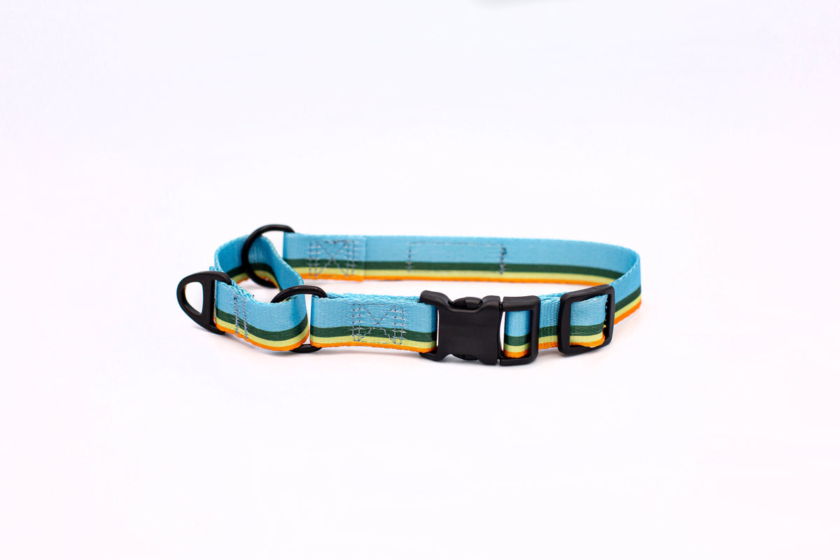 Euro-Dog Outdoor Style All Nylon Martingale Collar