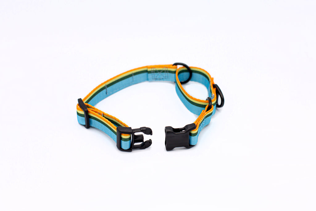 Euro-Dog Outdoor Style All Nylon Martingale Collar