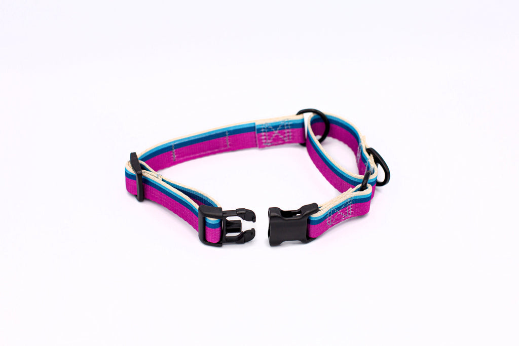 Euro-Dog Outdoor Style All Nylon Martingale Collar