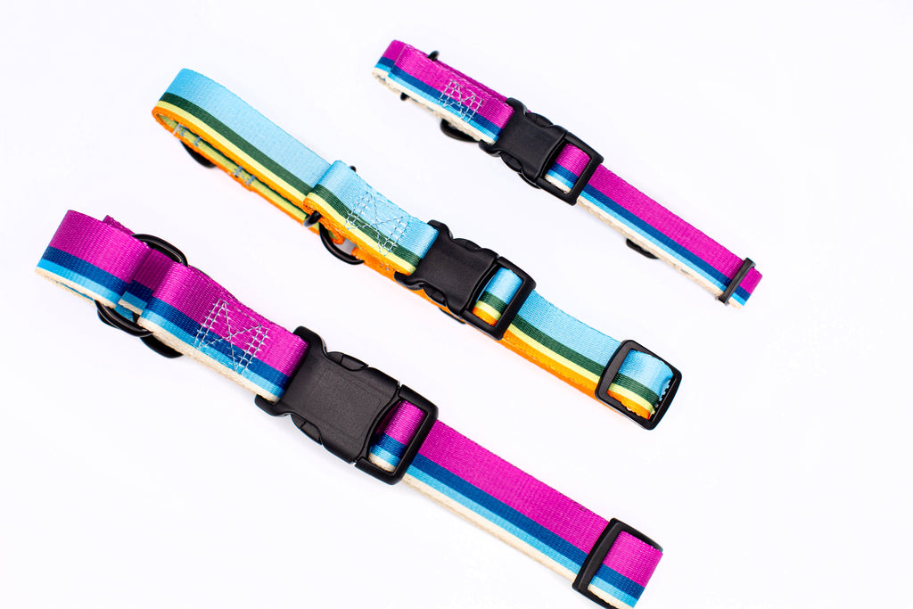 Euro-Dog Outdoor Style All Nylon Martingale Collar