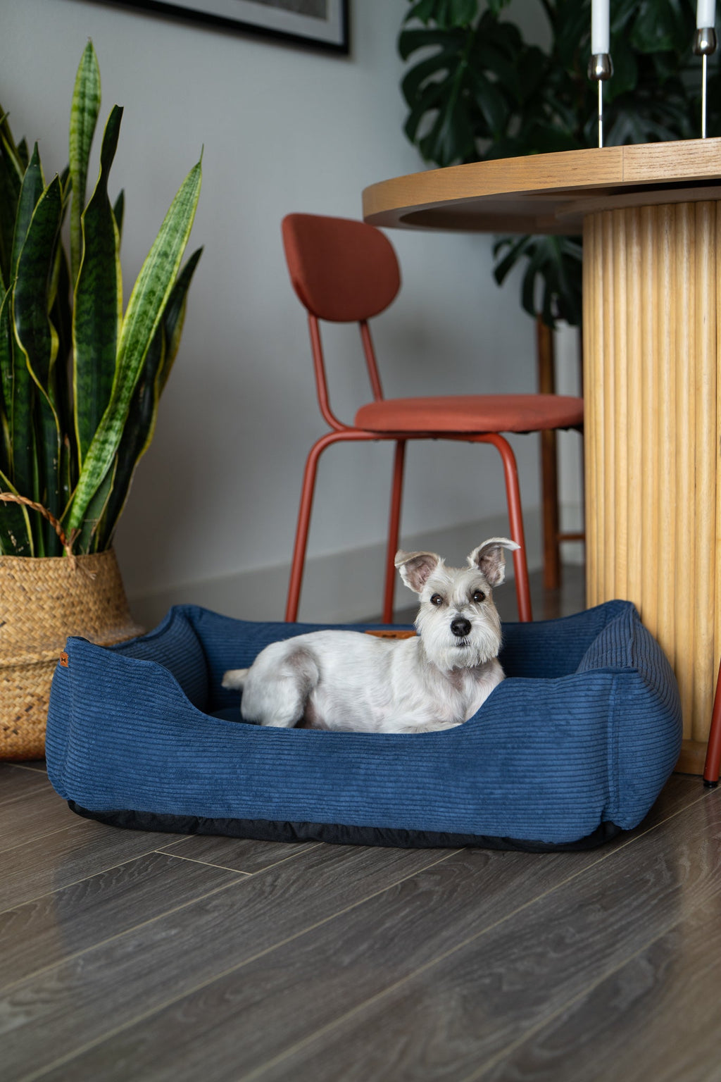 Chester & Lee | Fancy Corduroy Sleeper Dog Bed Blue