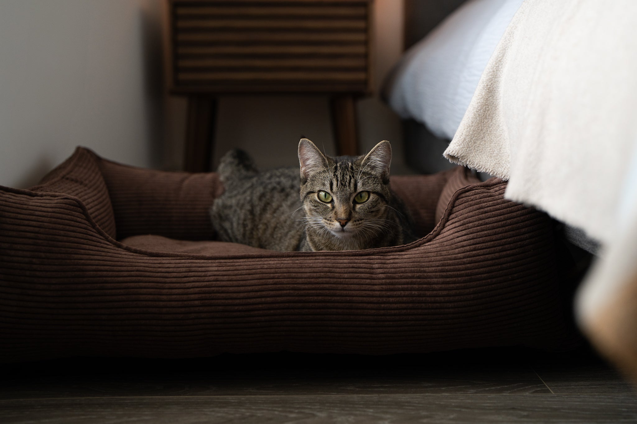 Chester & Lee | Fancy Corduroy Sleeper Dog Bed Brown