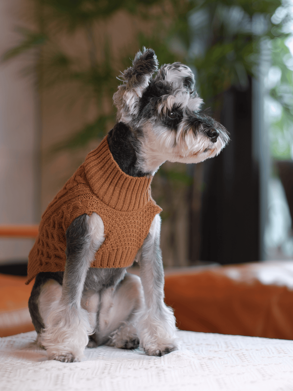 Pehom | Pet Sweater Vest - Toffee Orange