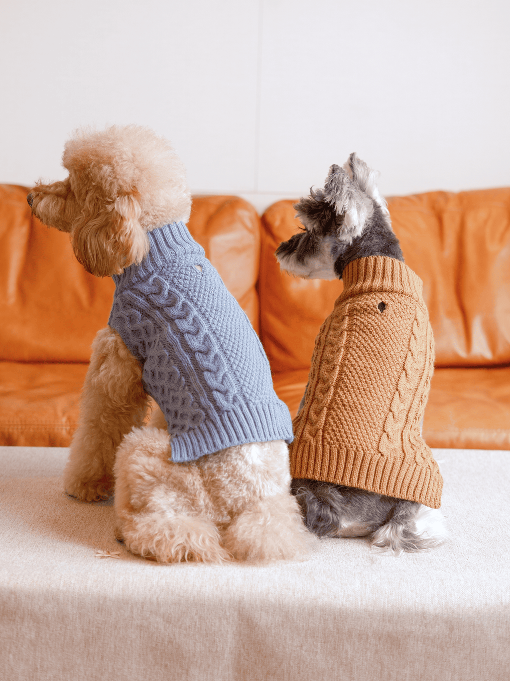 Pehom | Pet Sweater Vest - Toffee Orange