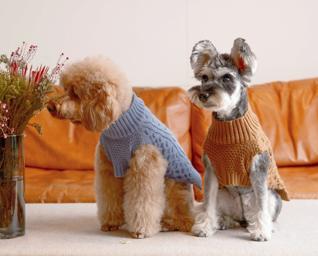 Pehom | Pet Sweater Vest - Toffee Orange