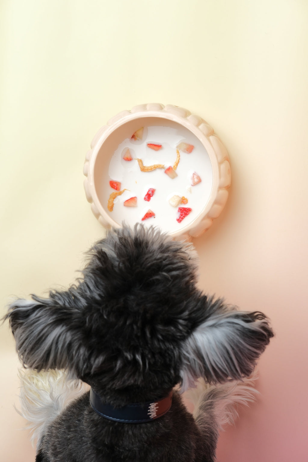 Pehom | Puff Pet Bowl - Gradient Caramel