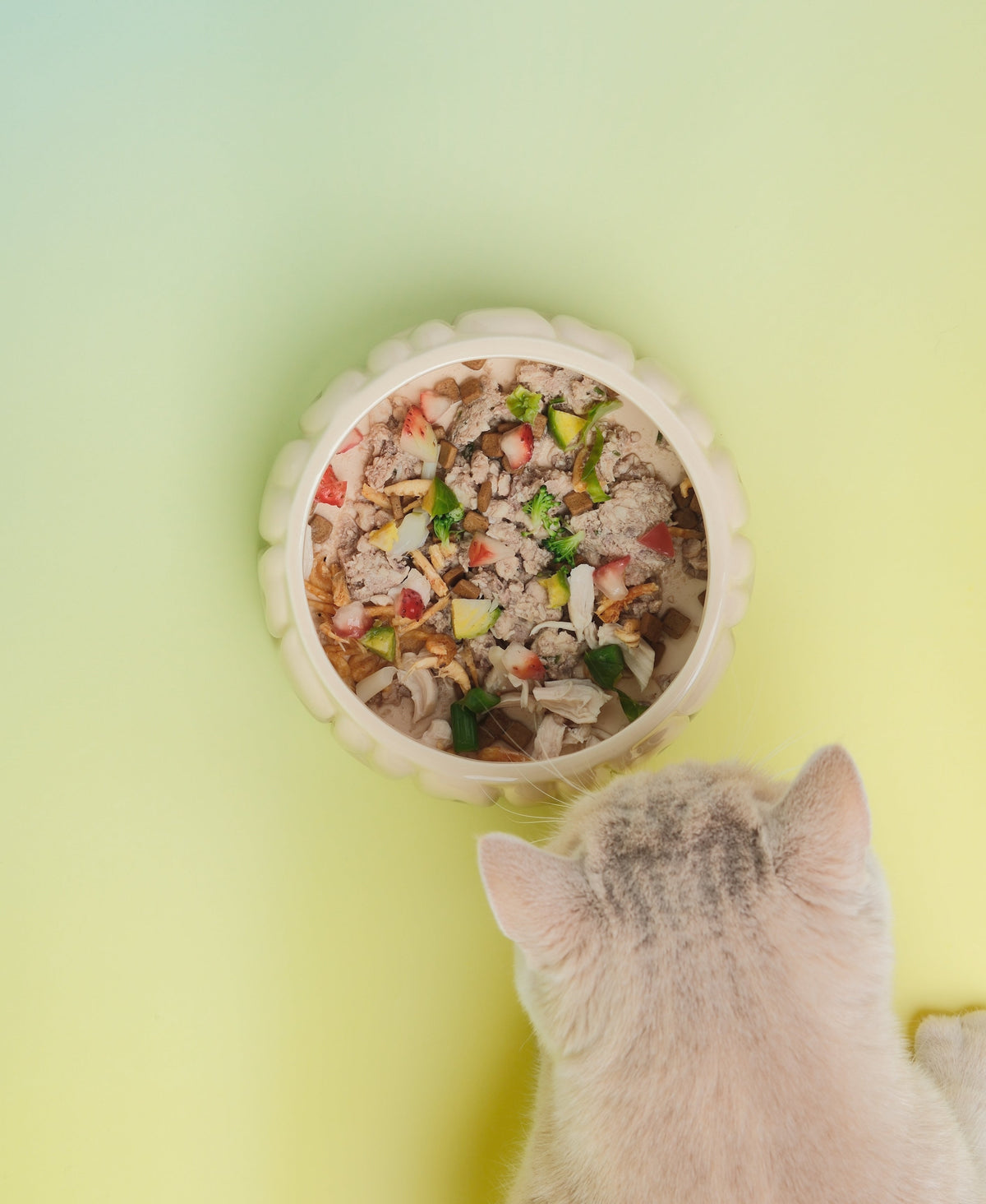 Pehom | Puff Pet Bowl - Gradient Olive