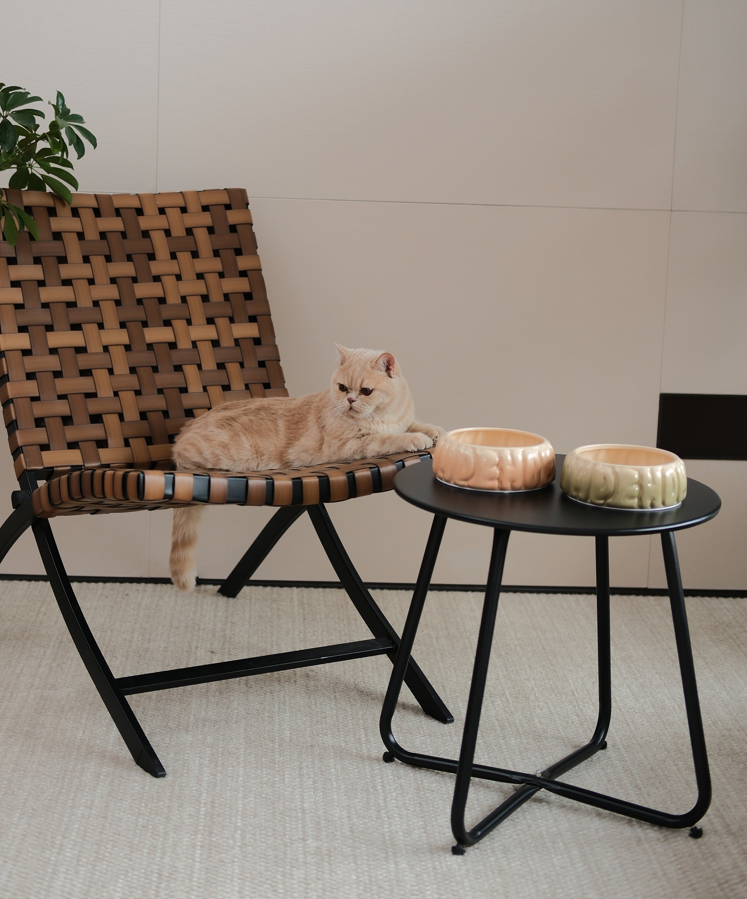 Pehom | Puff Pet Bowl - Gradient Olive