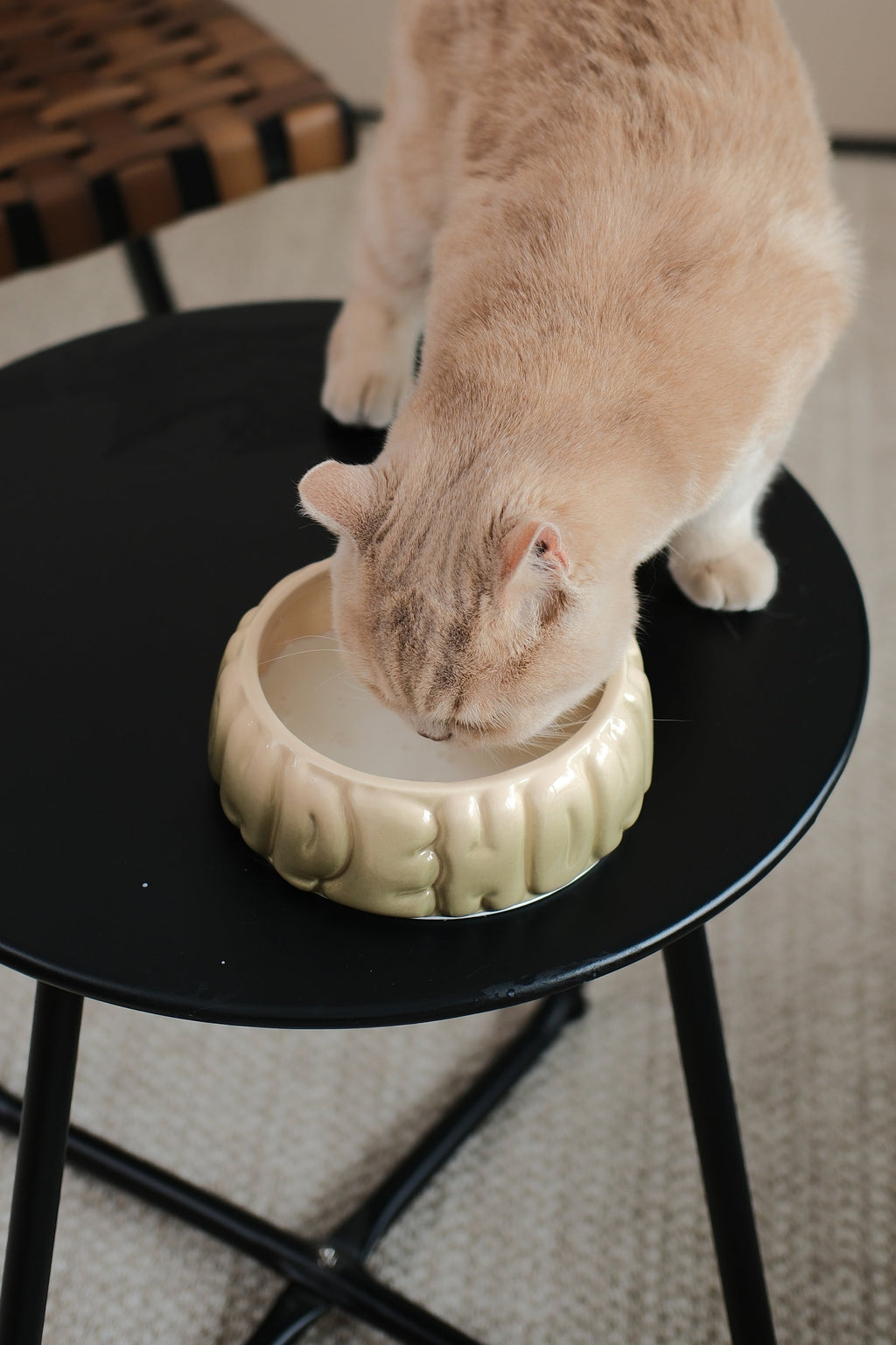 Pehom | Puff Pet Bowl - Gradient Olive