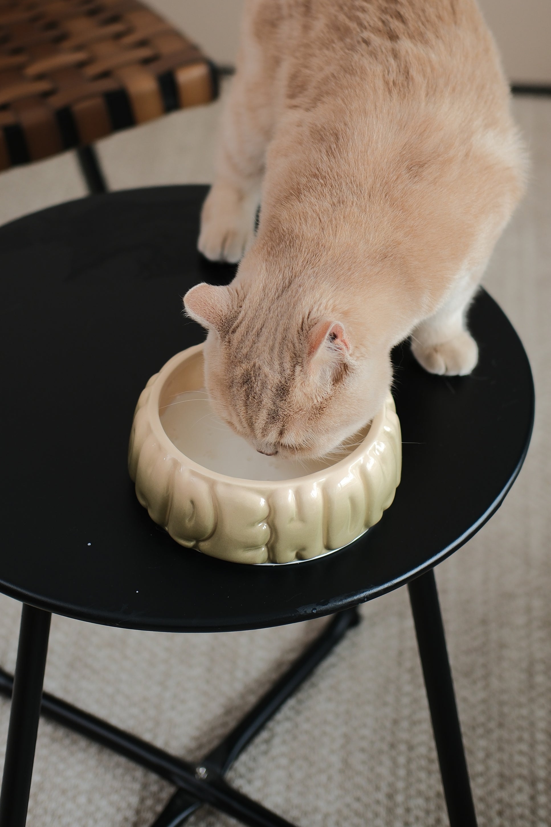 Pehom | Puff Pet Bowl - Gradient Olive