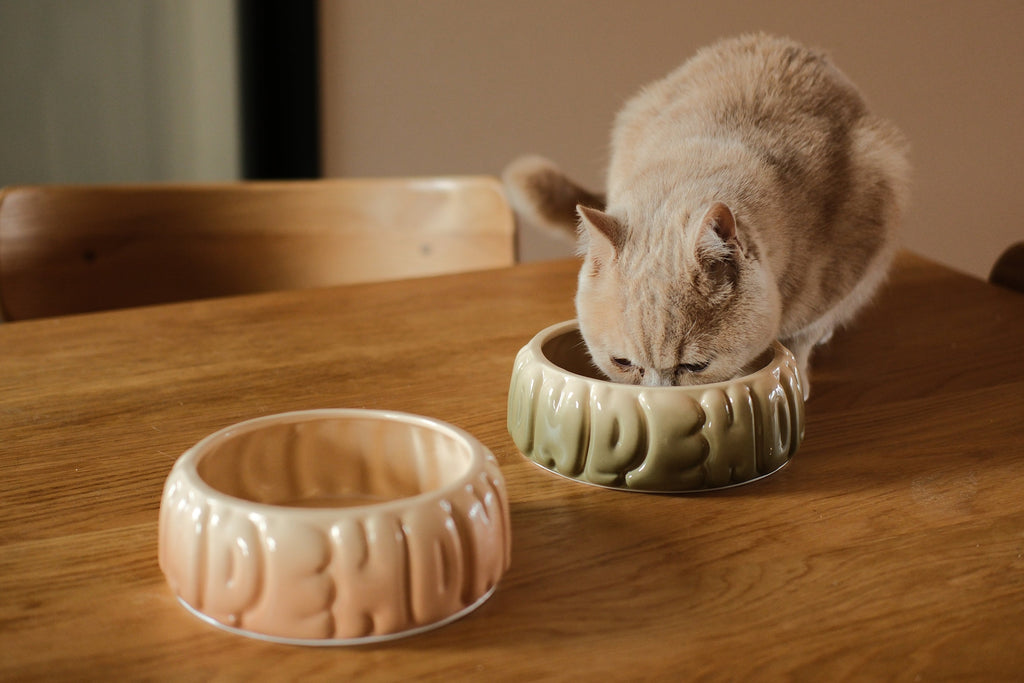 Pehom | Puff Pet Bowl - Gradient Caramel