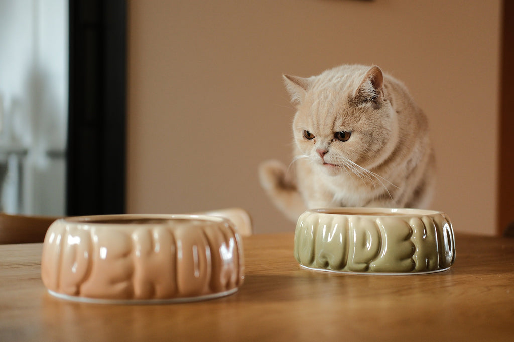 Pehom | Puff Pet Bowl - Gradient Caramel