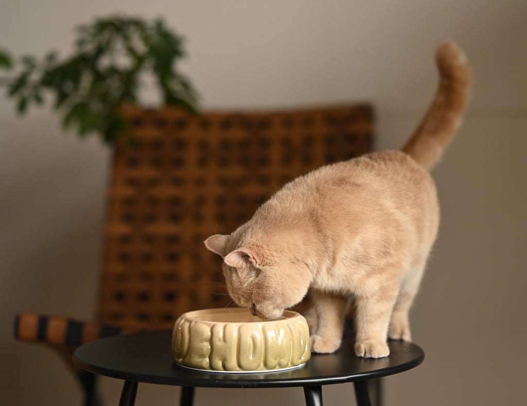 Pehom | Puff Pet Bowl - Gradient Olive