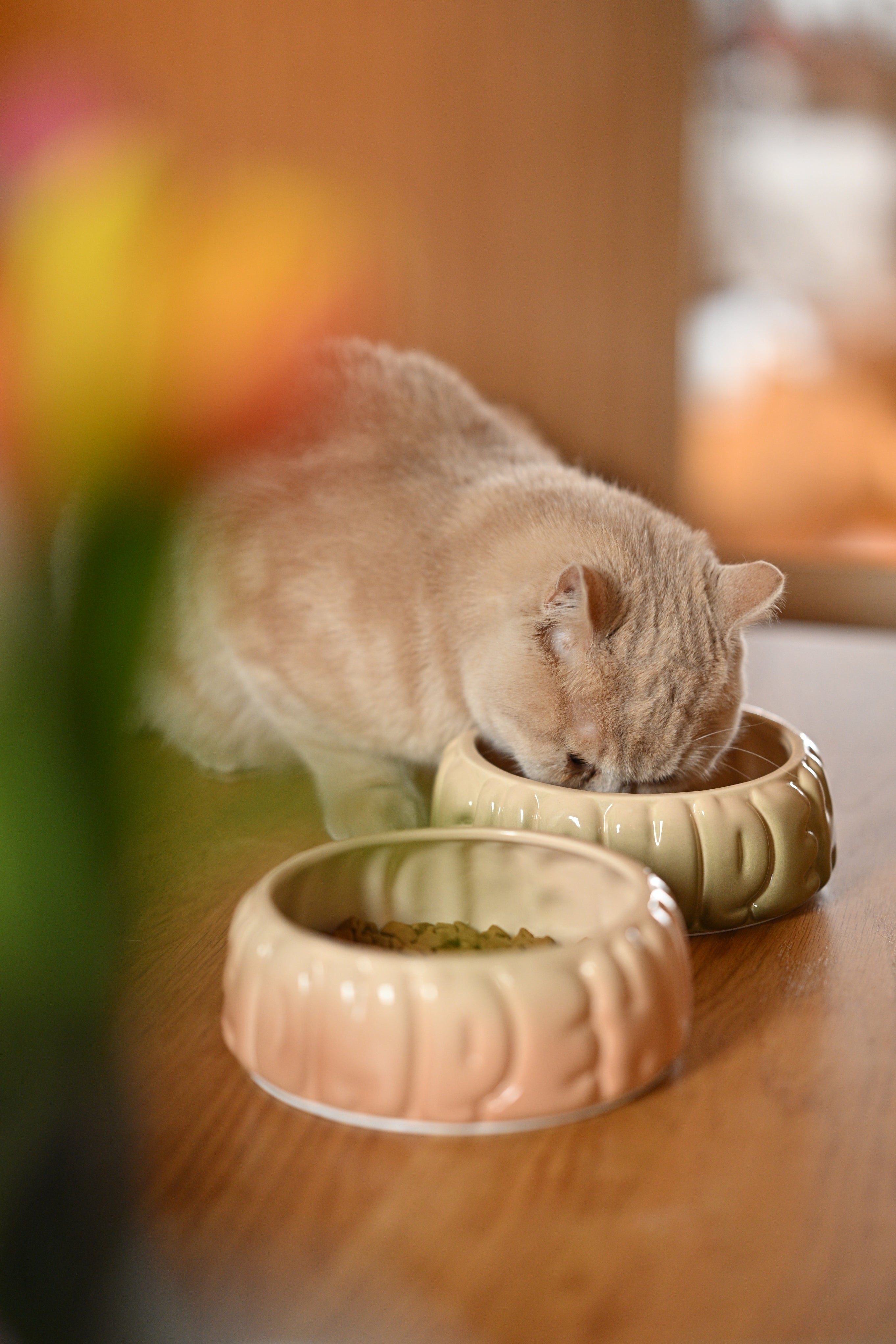 Pehom | Puff Pet Bowl - Gradient Olive