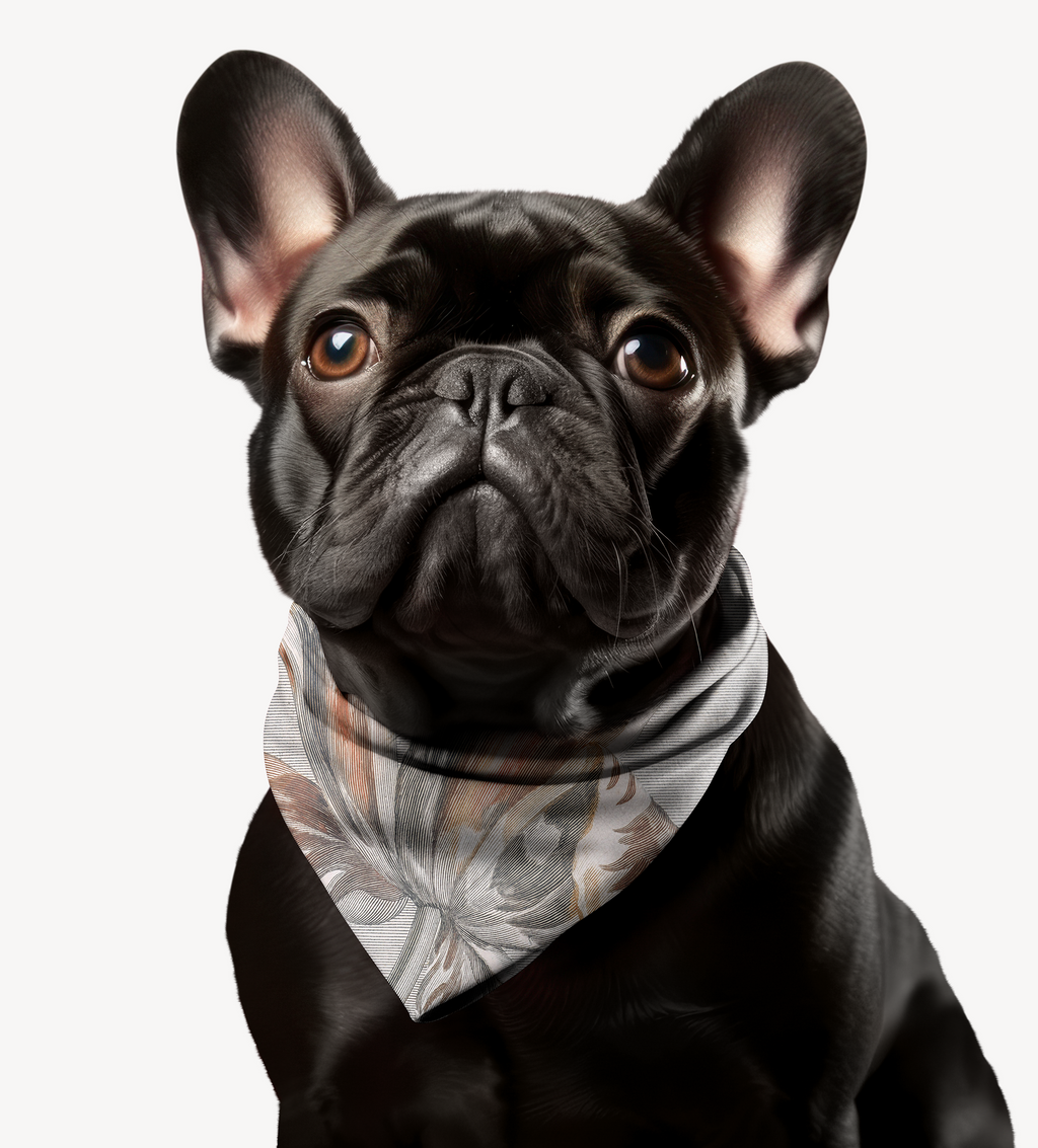 Sebastian & Clementine Vintage Collection Bandana Collar for Dogs and Cats