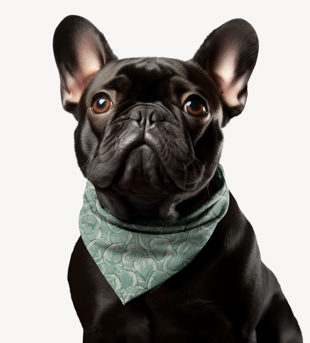 Sebastian & Clementine Vintage Collection Bandana Collar for Dogs and Cats