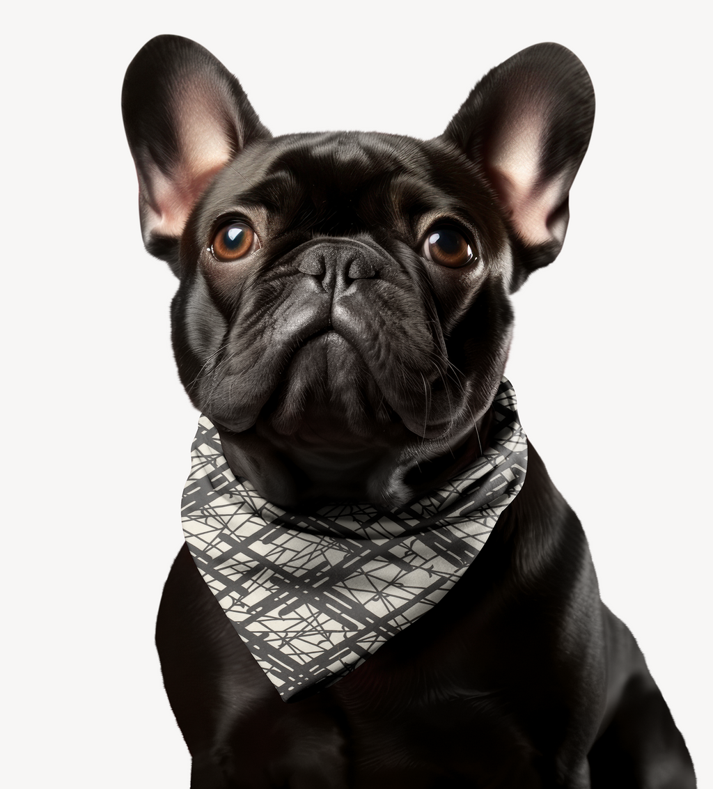 Sebastian & Clementine Vintage Collection Abstract Lines Bandana Collar for Dogs and Cats