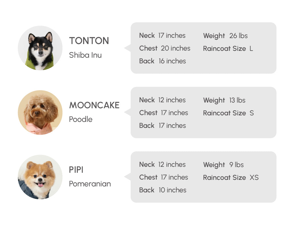 Pehom | Bowery Raincoat - Green