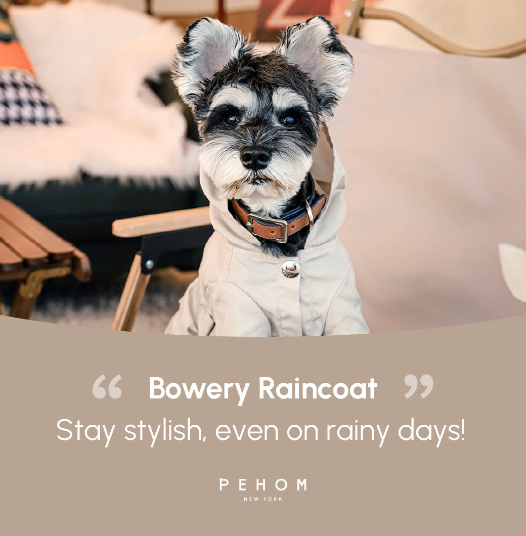 Pehom | Bowery Raincoat - Beige