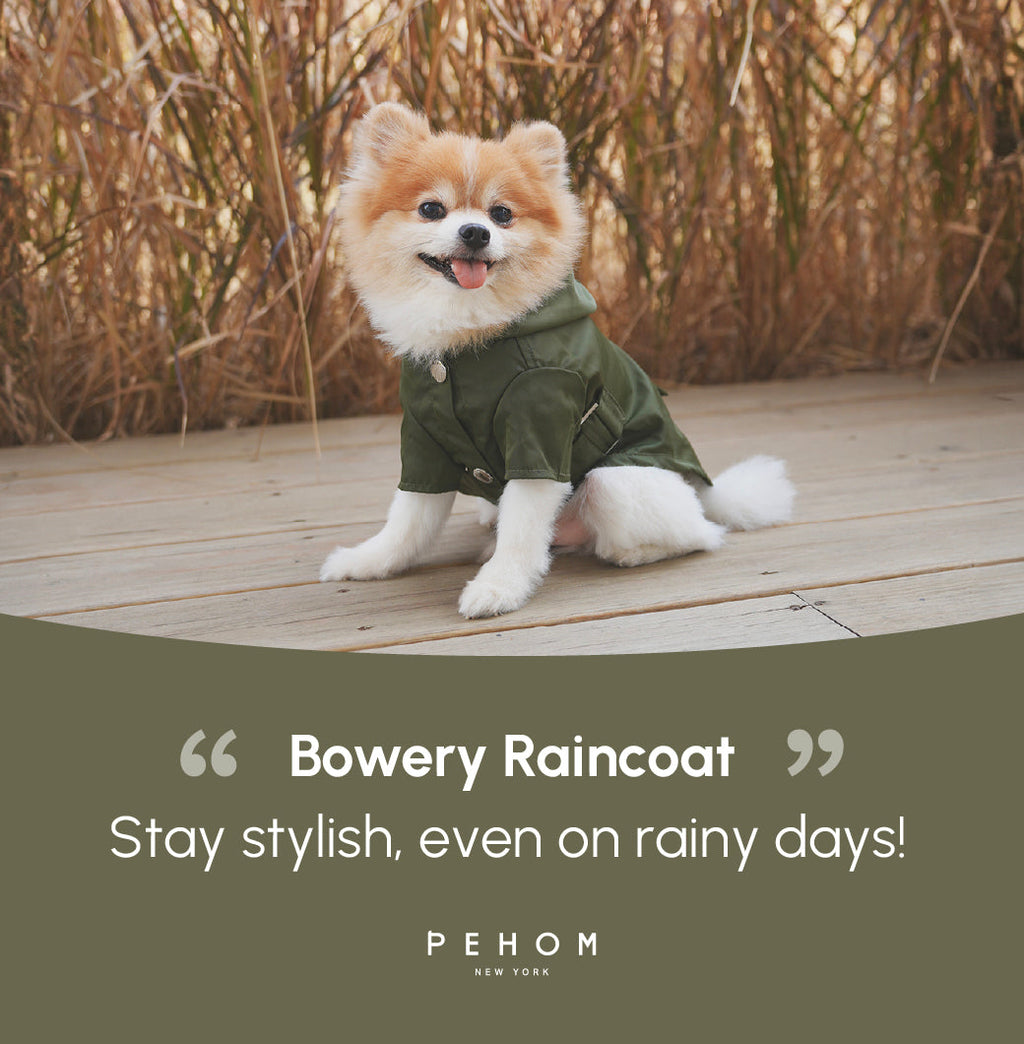Pehom | Bowery Raincoat - Green