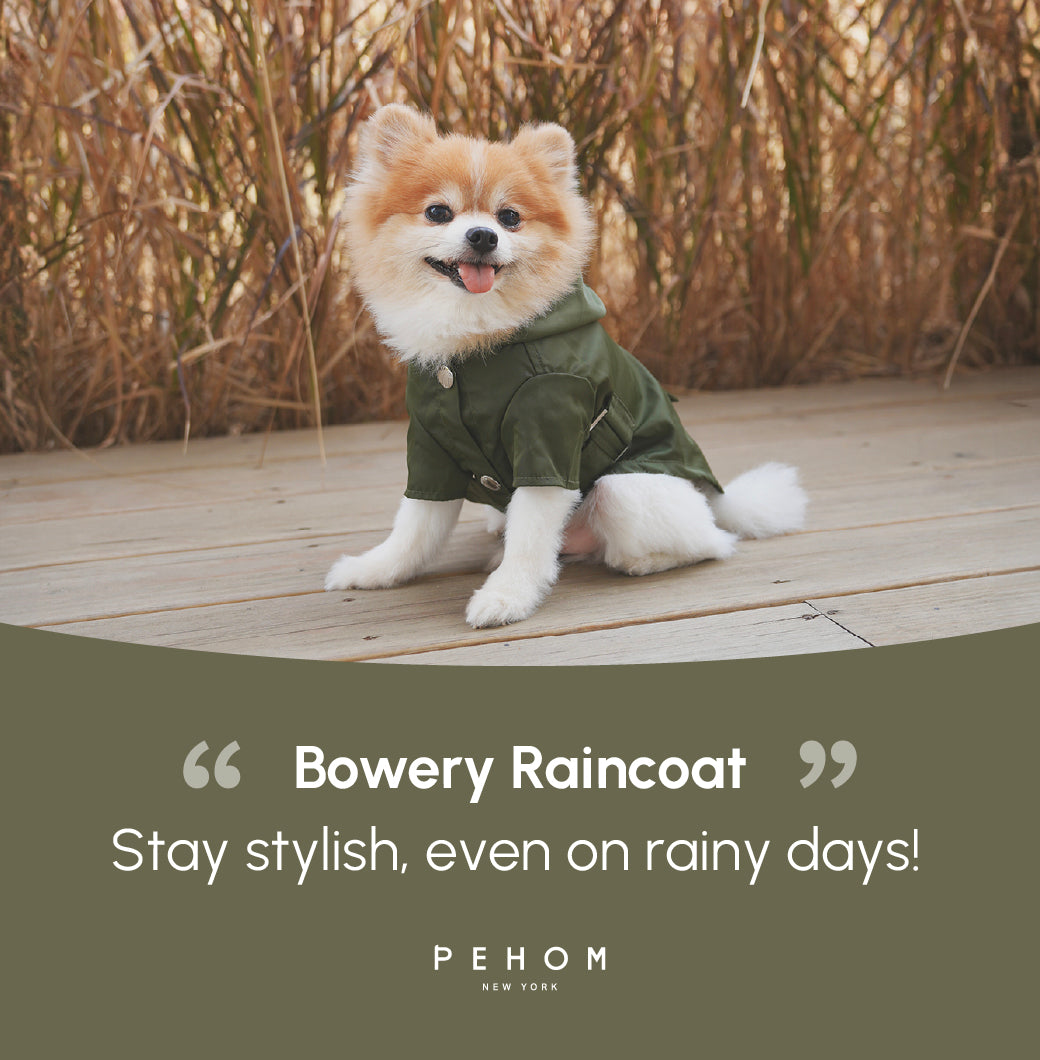 Pehom | Bowery Raincoat - Green