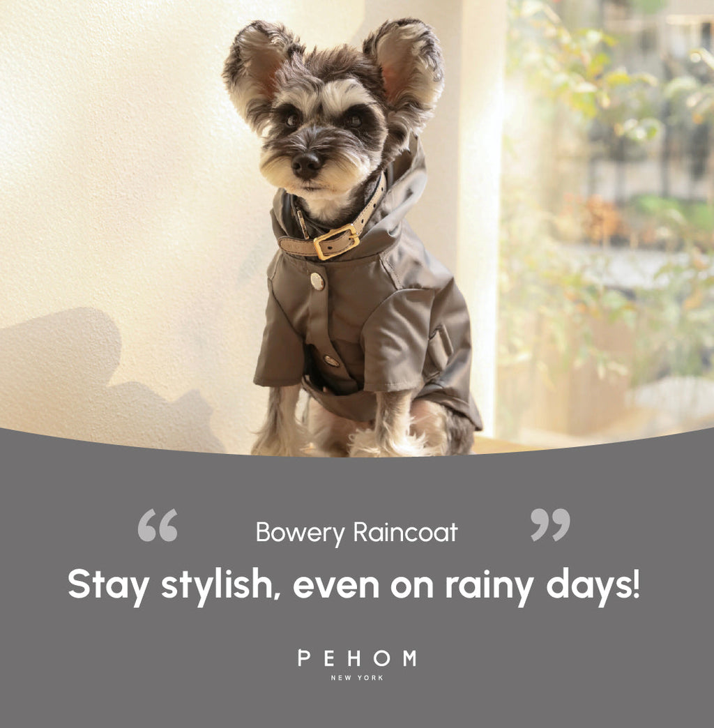 Pehom | Bowery Raincoat - Gray