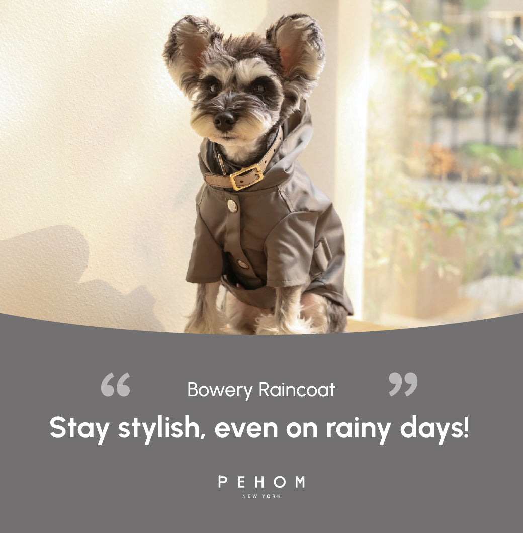 Pehom | Bowery Raincoat - Gray