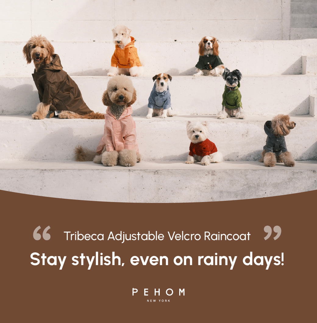 Pehom | Tribeca Adjustable Velcro Raincoat -  Choco