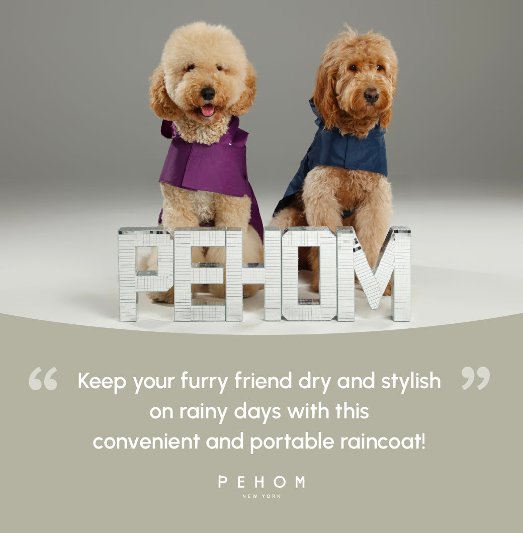 Capsule Raincoat - Purple