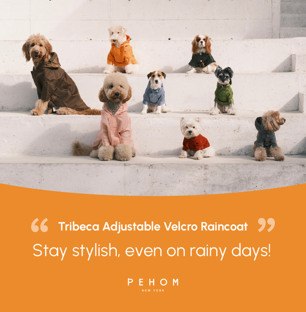 Pehom | Tribeca Adjustable Velcro Raincoat - Egg Yolk