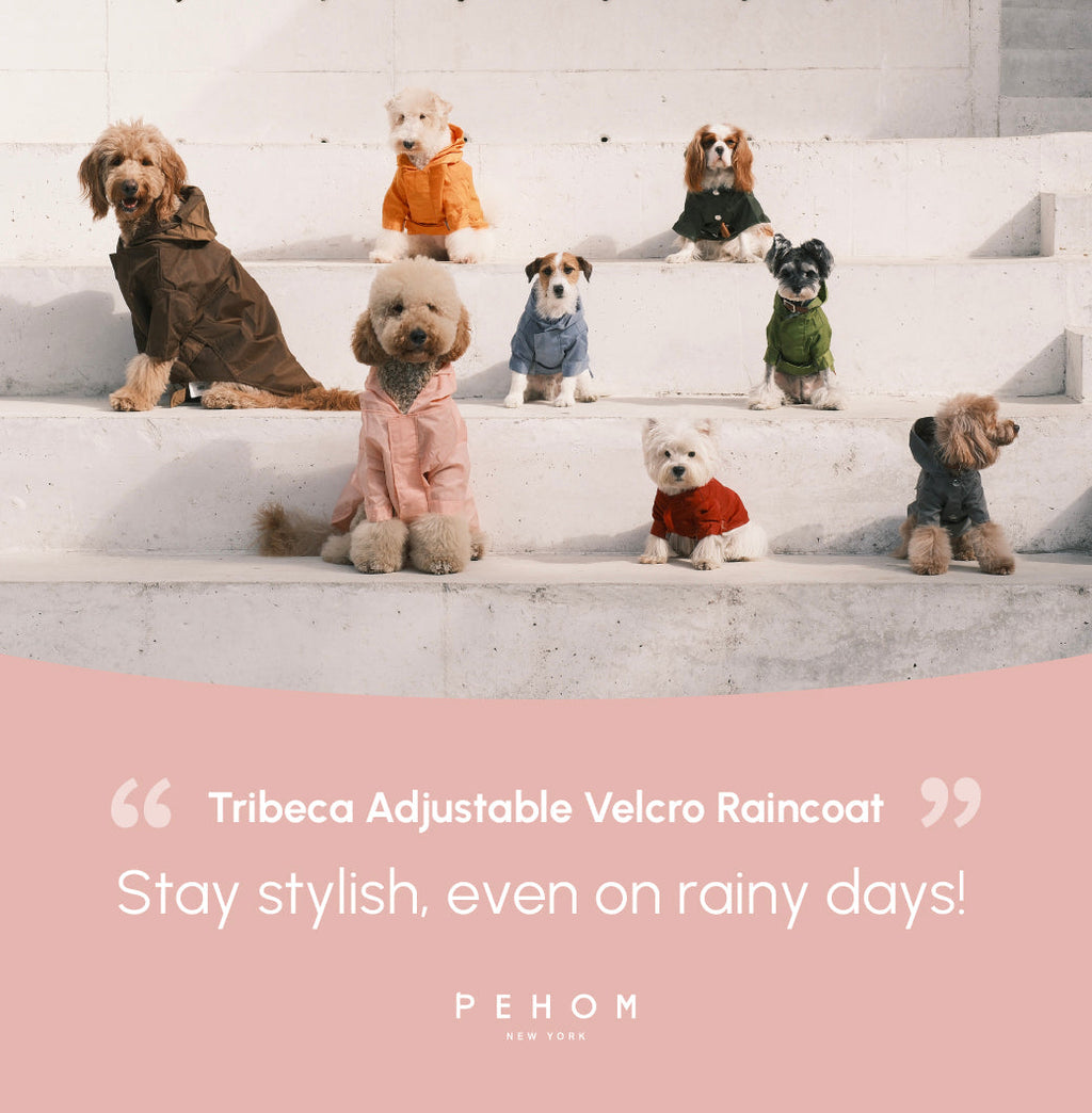 Pehom | Tribeca Adjustable Velcro Raincoat - Light Pink