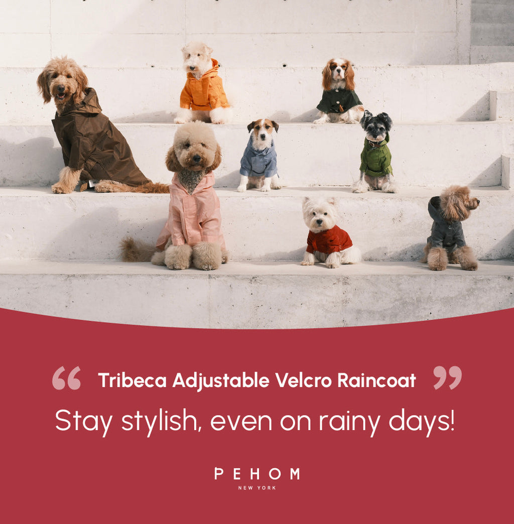 Pehom | Tribeca Adjustable Velcro Raincoat -  Burgundy