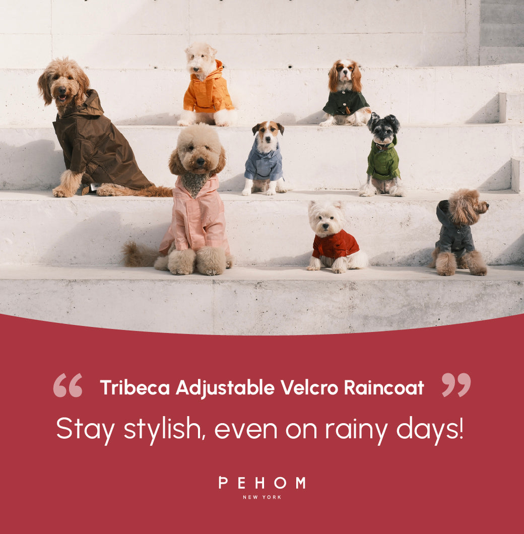 Pehom | Tribeca Adjustable Velcro Raincoat -  Burgundy