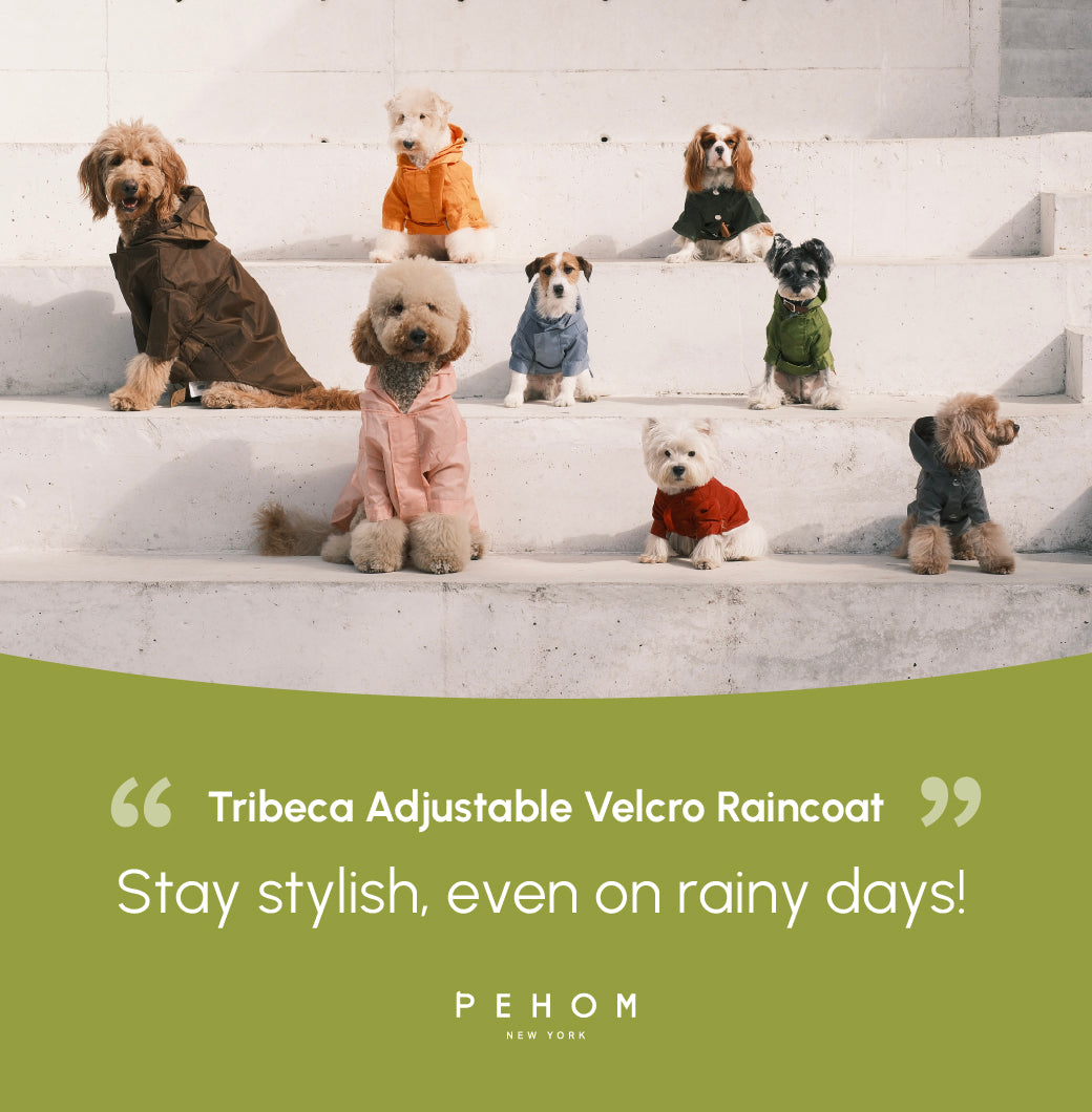 Pehom | Tribeca Adjustable Velcro Raincoat - Olive