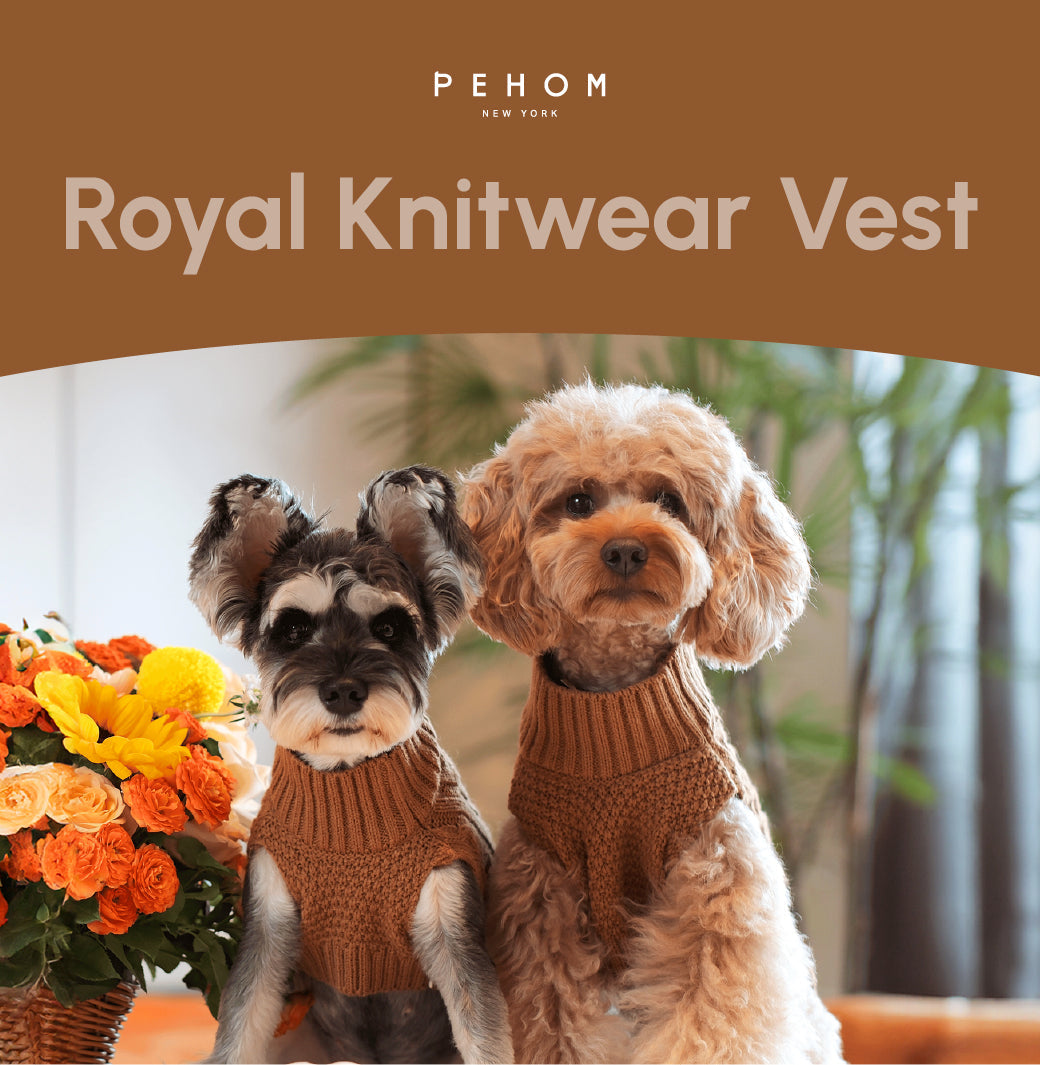 Pehom | Pet Sweater Vest - Toffee Orange