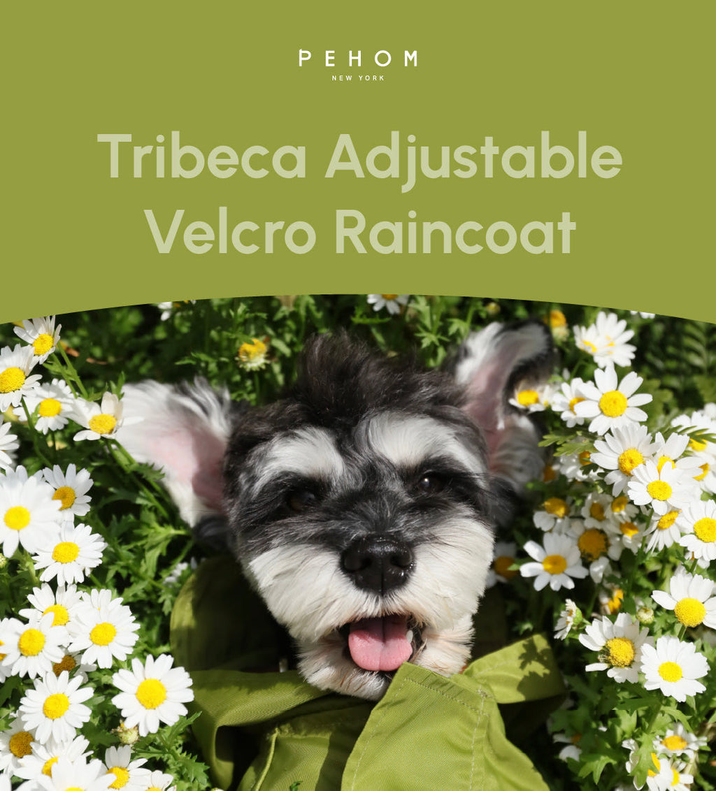 Pehom | Tribeca Adjustable Velcro Raincoat - Olive