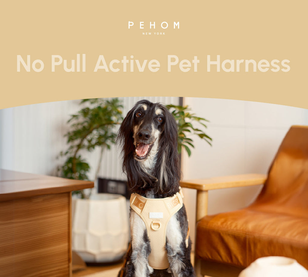 Pehom | No Pull Active Pet Harness - Apricot