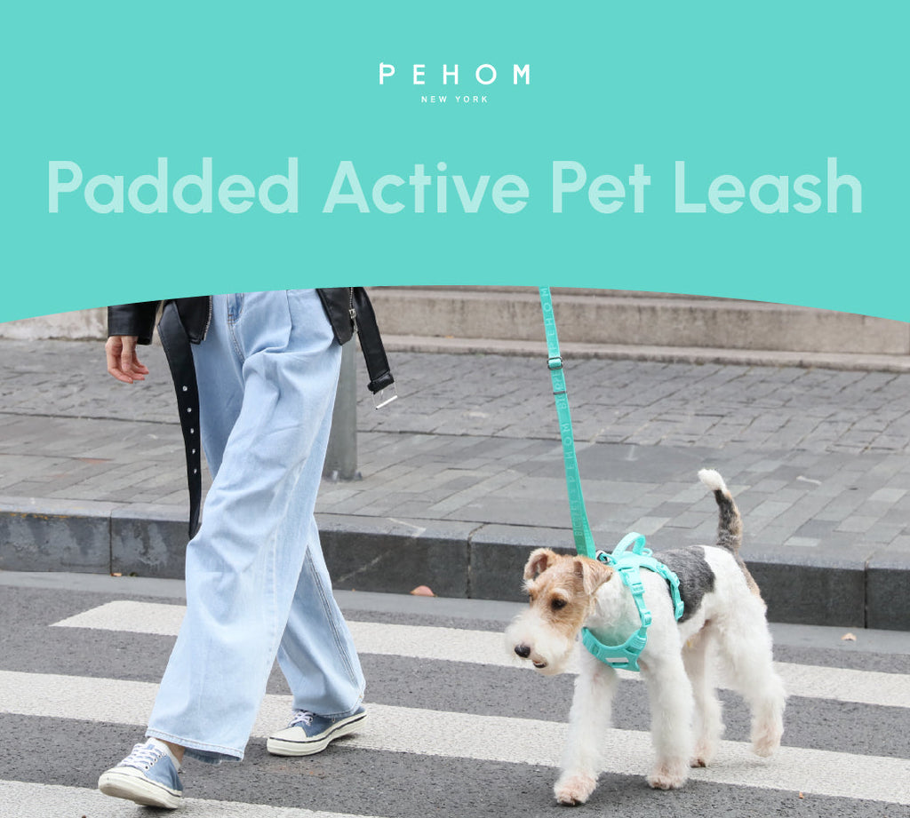 Pehom | Padded Active Pet Leash - Mint Green