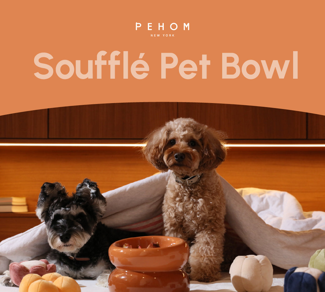 Pehom | Soufflé Pet Bowl - Amber Orange