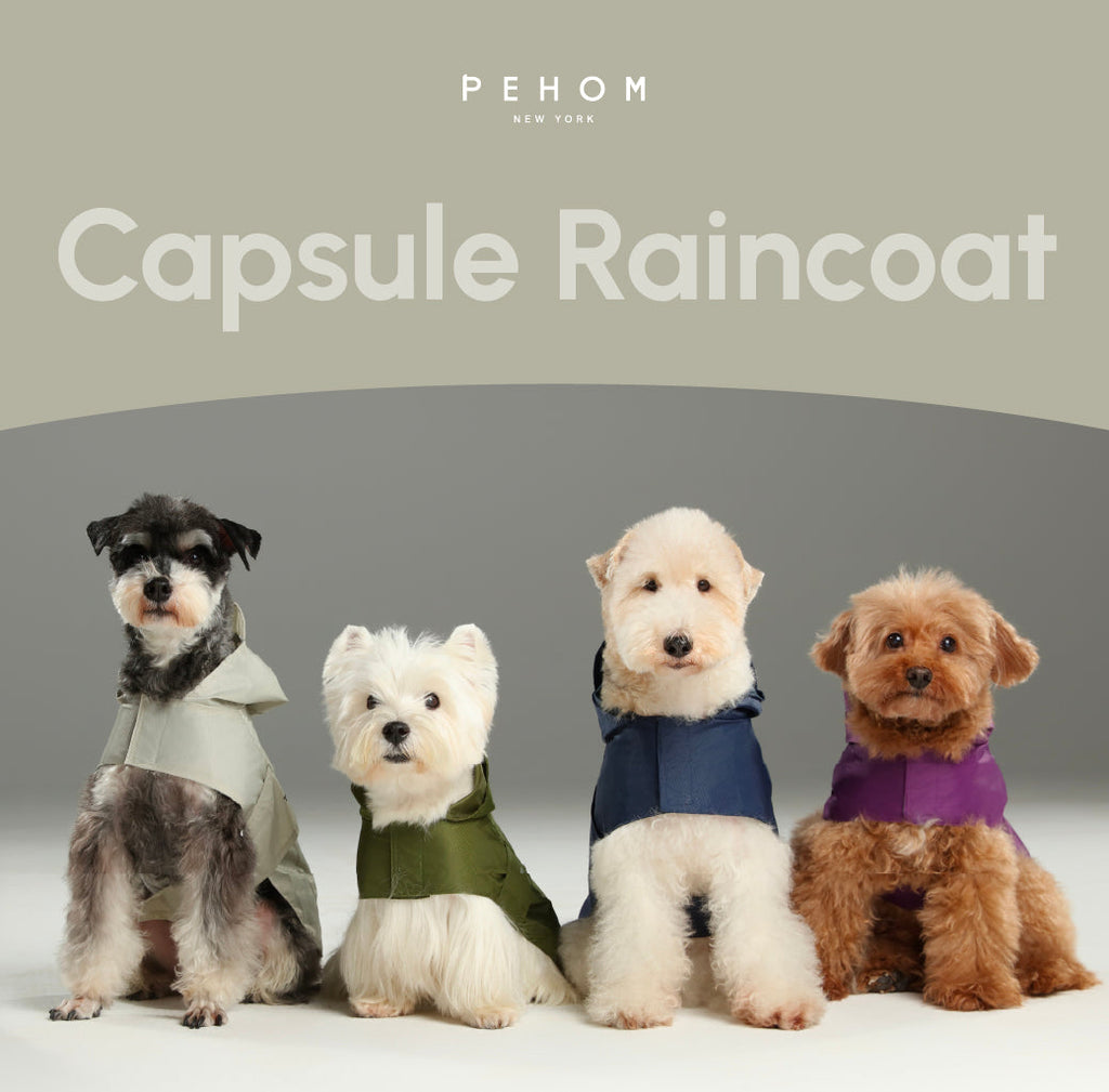 Pehom | Capsule Raincoat - Blue