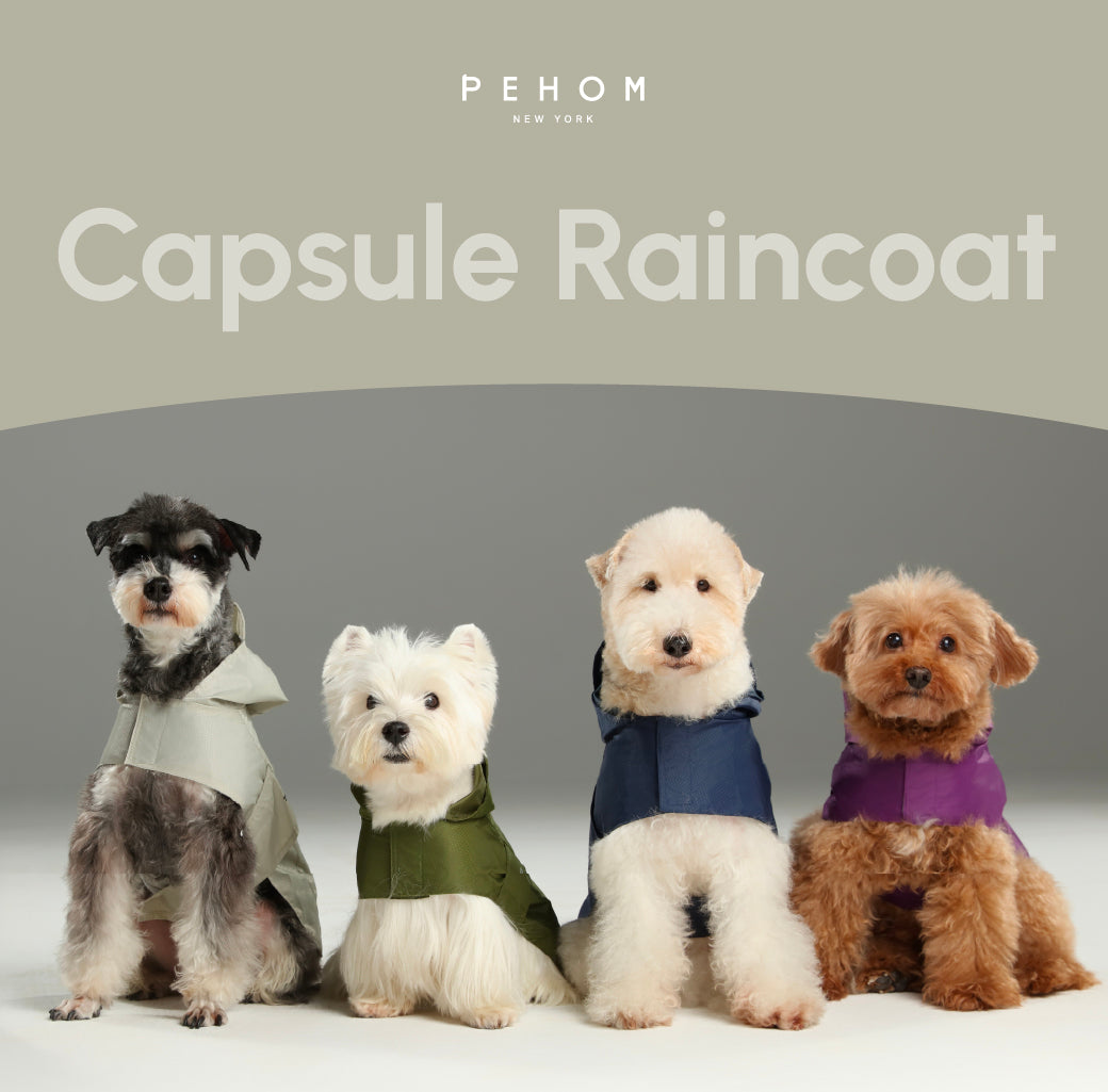 Pehom | Capsule Raincoat - Blue
