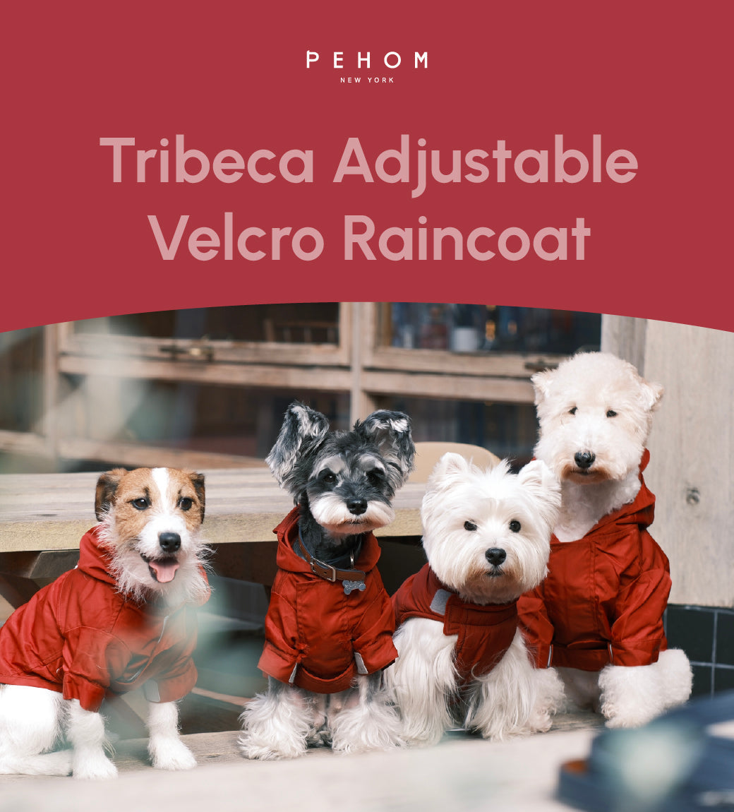 Pehom | Tribeca Adjustable Velcro Raincoat -  Burgundy