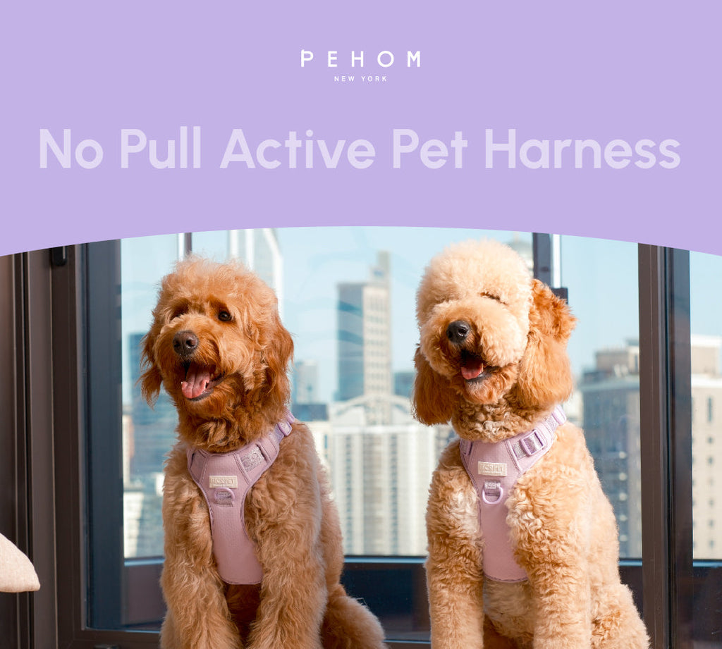 Pehom | No Pull Active Pet Harness - Mint Purple