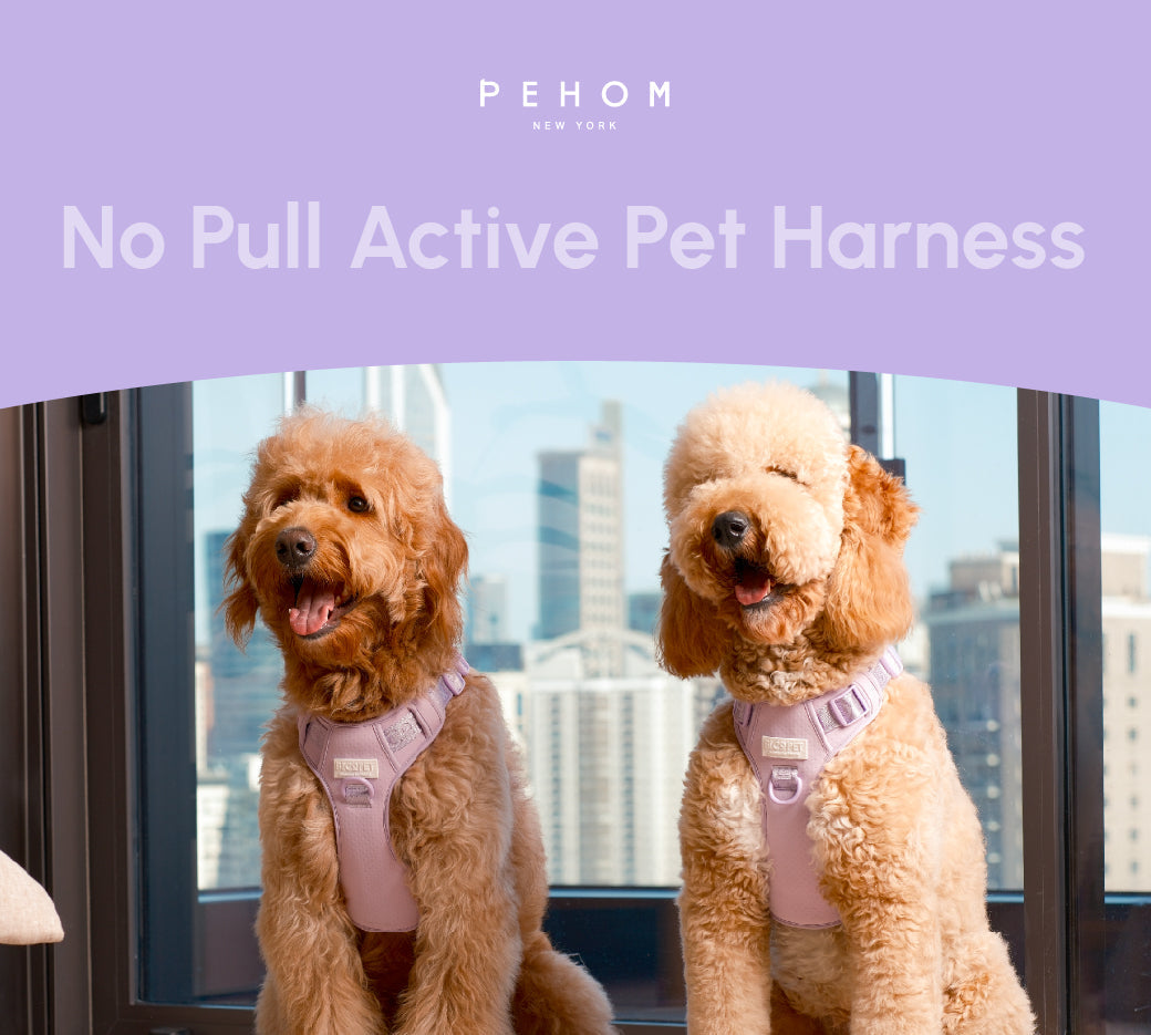 Pehom | No Pull Active Pet Harness - Mint Purple