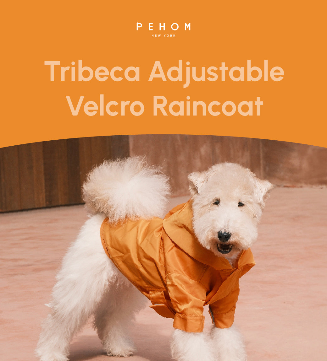 Pehom | Tribeca Adjustable Velcro Raincoat - Egg Yolk