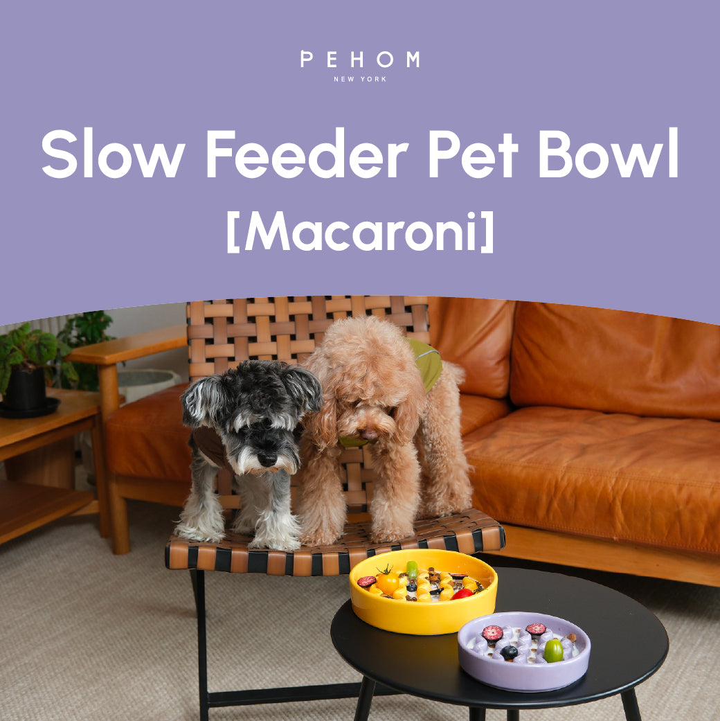Pehom | Slow Feeder Dog Bowls - Yellow / Frozen Blue / Purple