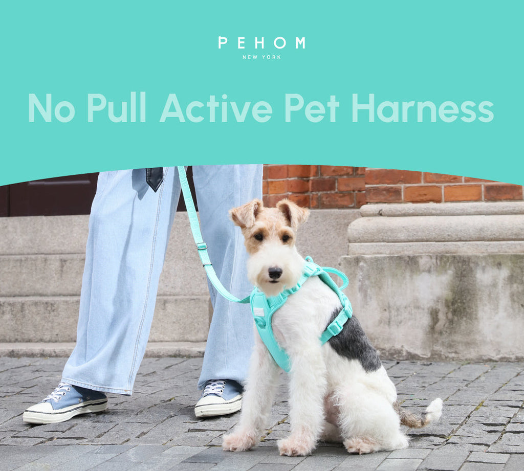 Pehom | No Pull Active Pet Harness - Mint Green